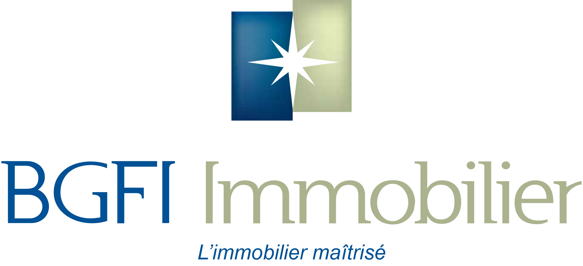 BGFI Immobilier
